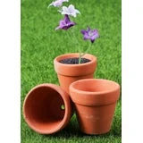 20Pack Red Terracotta Pot - Red Clay Ceramic Planter for 3.5x3 cm Green Plants