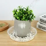 20-Pack New Design Transparent Thickened PET Round Planter Trays, Water Catcher Dishes, Flower Pot S -