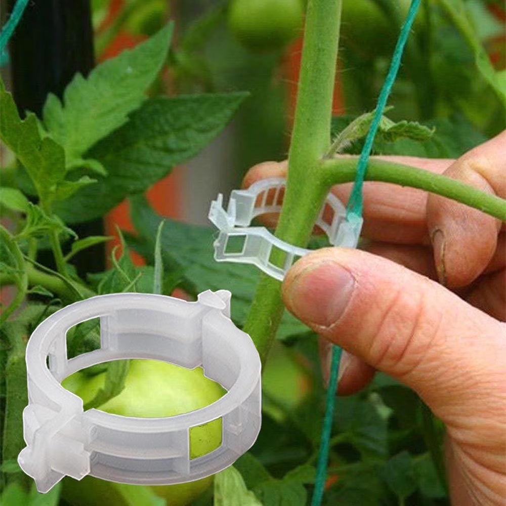 100pc Trellis Tomato Clips Supports Connects Plants Hold Branches Up Clips Vines Trellis Twine Cages